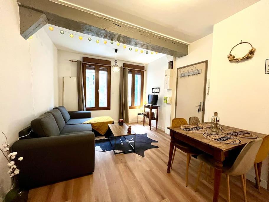 Le Countryside- Hyper Centre Apartment Sens Exterior photo